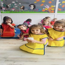 gallery_pict_20250118133555000000.jpg